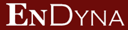 Endyne logo